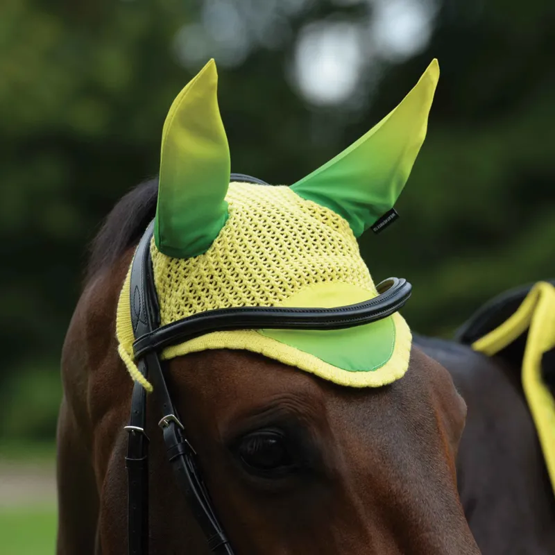 WeatherBeeta Prime Ombre Ear Bonnet - Sunflower Field